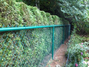 Prices for Chain-link Fence in Vancouver